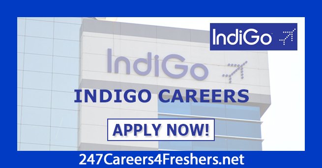 IndiGo Careers